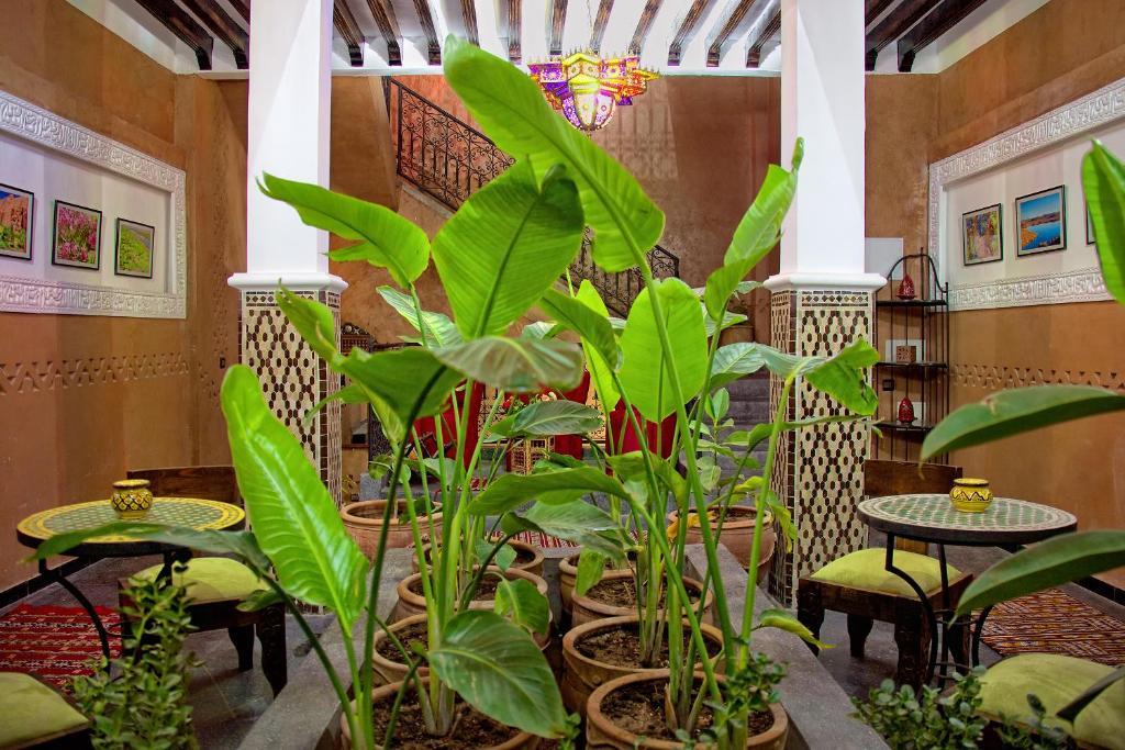 Hotel Azoul ورزازات الغرفة الصورة